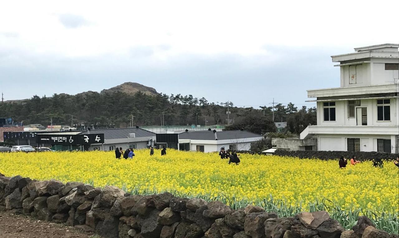 Jeju Moseulpo Hotel Согвипхо Экстерьер фото