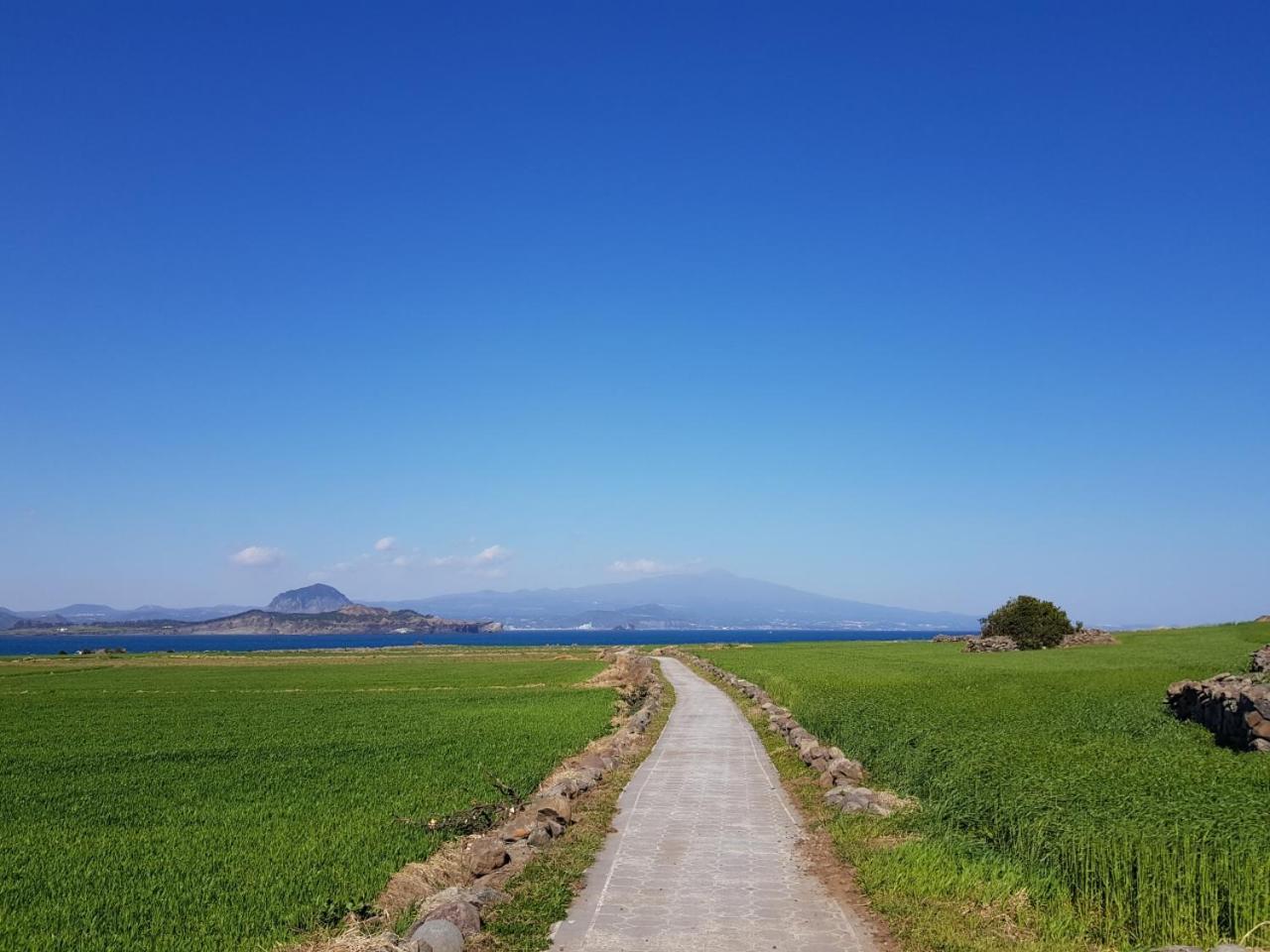 Jeju Moseulpo Hotel Согвипхо Экстерьер фото
